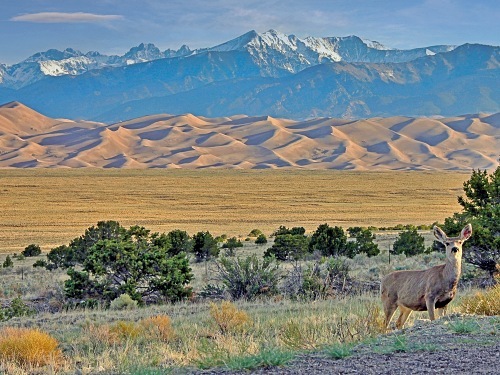 Great Sand Dunes National Park