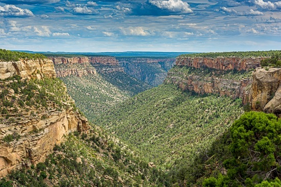 Mesa Verde National Park