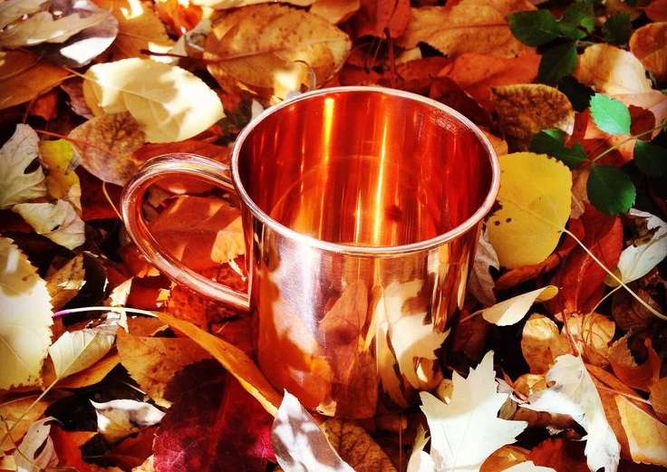 Copper and Fall: Made for Each Other