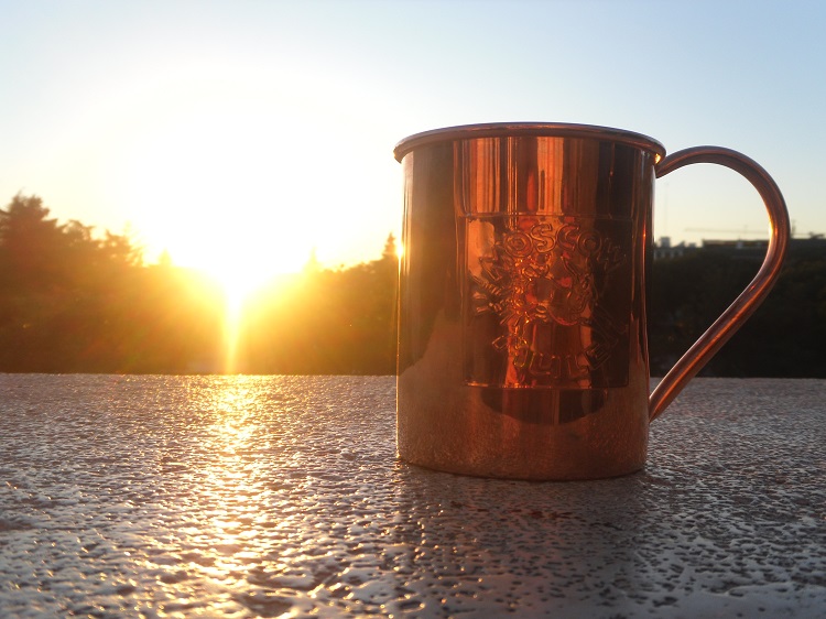 7 Not-So-Obvious Benefits of Copper Mugs