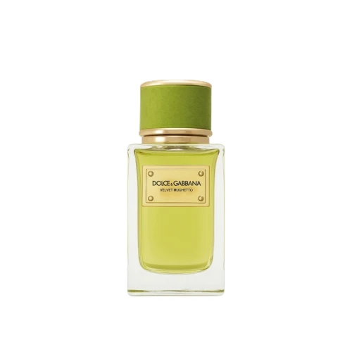 D&G VELVET MUGHETTO EDP 100 ML