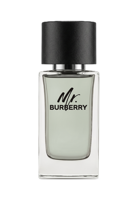 BURBERRY MR BURBERRY MAN EDT 100 ML VAPO