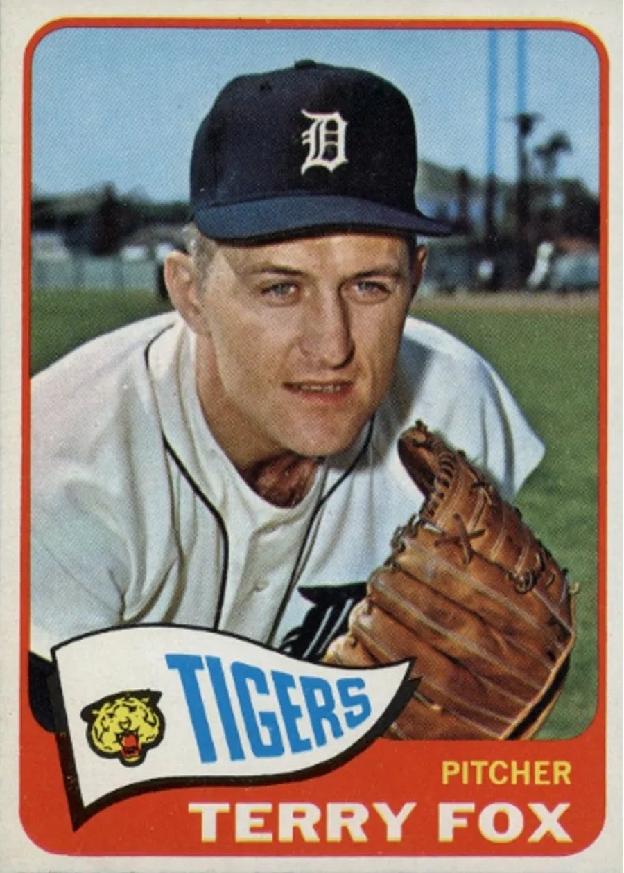 1965 Topps #576 Terry Fox, Detroit Tigers