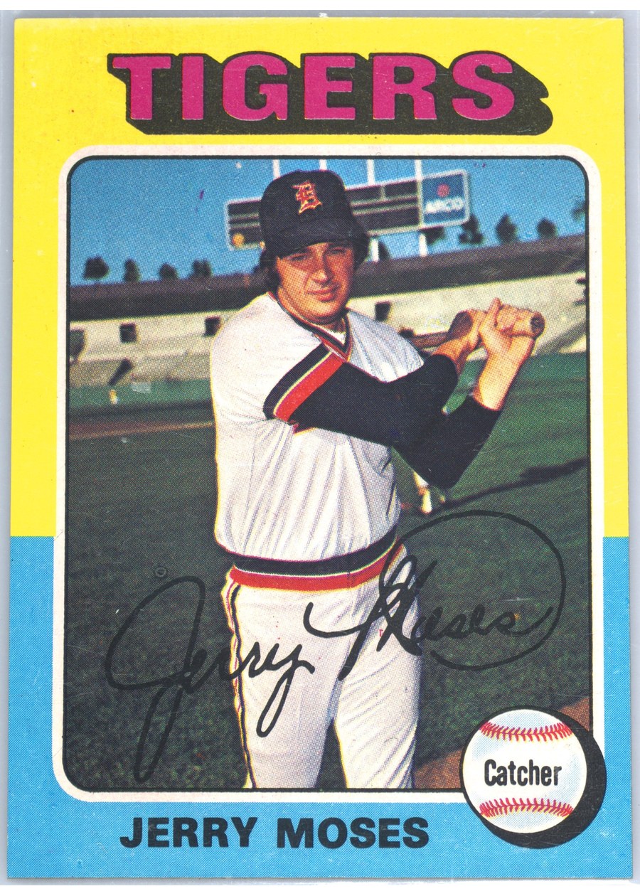 1975 Topps #271 Jerry Moses, Detroit Tigers