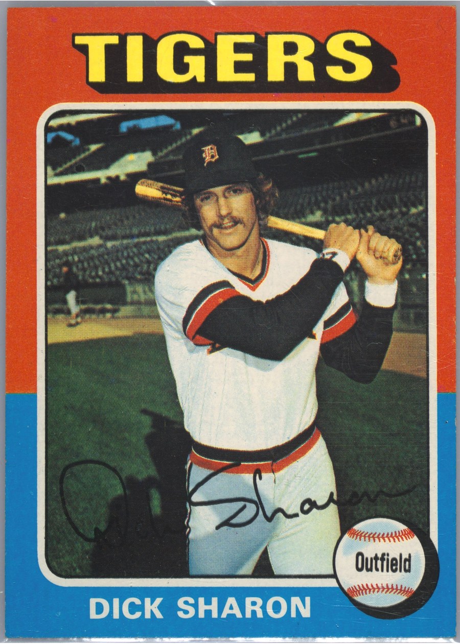 1975 Topps #293 Dick Sharon, Detroit Tigers