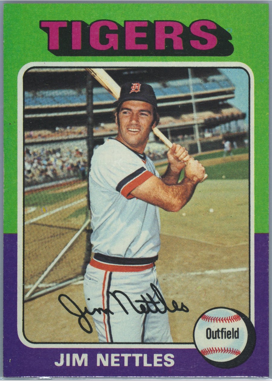 1975 Topps #497 Jim Nettles, Detroit Tigers