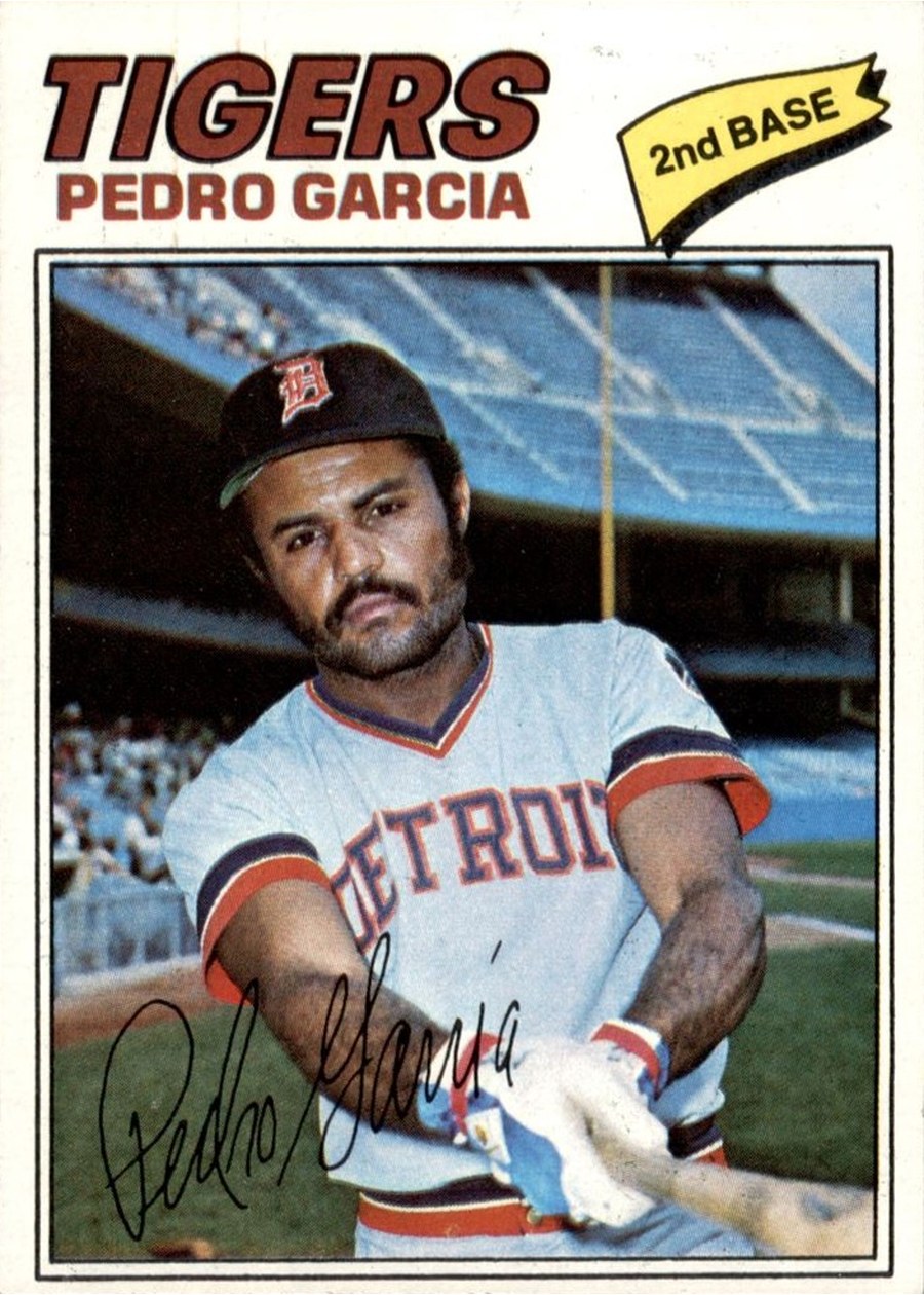 1977 Topps #453 Pedro Garcia, Detroit Tigers