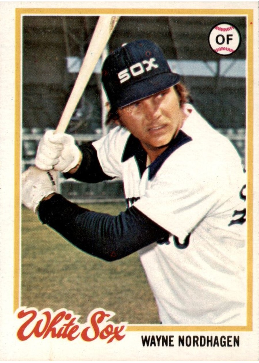 1978 Topps #231 Wayne Nordhagen, Chicago White Sox