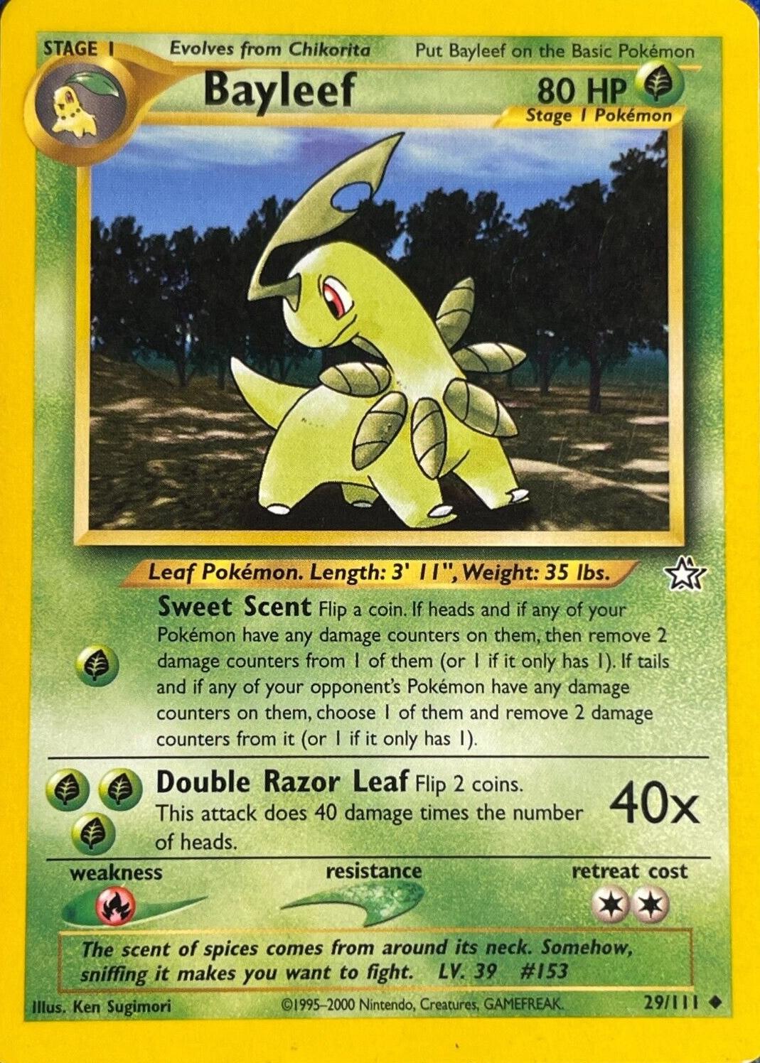 Bayleef Unlimited