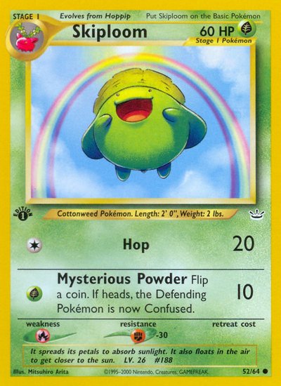 Skiploom 1st Edition