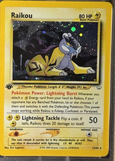 Raikou Double Holo error