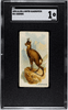 1890 Allen & Ginter Chamois N21 Quadrupeds SGC 1 — certification 5245653, front of card