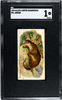 1890 Allen & Ginter Jaguar N21 Quadrupeds SGC 1 — certification 2442076, front of card