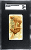 1890 Allen & Ginter Marten N21 Quadrupeds SGC 3 front of card