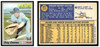 1970 Topps Baseball Greg Goossen #271 VG front and back of card
