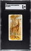 1890 N21 Allen & Ginter Giraffe 50 Quadrupeds SGC 1 front of card