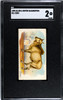 1890 N21 Allen & Ginter Zebu 50 Quadrupeds SGC 2 front of card