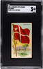 1909-1911 T59 Flags of all Nations Samoa Recruit Little Cigars SGC 3 front of card