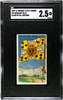 1909-1911 T59 Flags of all Nations Germany Royal Standard Recruit Little Cigars SGC 2.5 front of card
