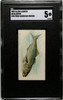 1889 N8 Allen & Ginter Bluefish 50 Fish From American Waters SGC 5 front of card