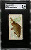 1889 N8 Allen & Ginter Carp 50 Fish From American Waters SGC 1 front of card