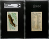 1889 N8 Allen & Ginter Catfish 50 Fish From American Waters SGC 3 front and back of card