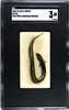 1889 N8 Allen & Ginter Eel 50 Fish From American Waters SGC 3 front of card