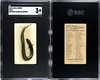 1889 N8 Allen & Ginter Eel 50 Fish From American Waters SGC 3 front and back of card