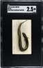 1889 N8 Allen & Ginter Eel 50 Fish From American Waters SGC 2.5 front of card