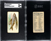 1889 N8 Allen & Ginter Flying Fish 50 Fish From American Waters SGC 3 front and back of card