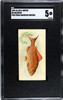 1889 N8 Allen & Ginter Goldfish 50 Fish From American Waters SGC 5 front of card