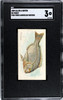 1889 N8 Allen & Ginter Porgy 50 Fish From American Waters SGC 3 front of card