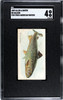 1889 N8 Allen & Ginter Salmon 50 Fish From American Waters SGC 4 front of card