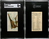 1889 N8 Allen & Ginter Sawfish 50 Fish From American Waters SGC 5 front and back of card