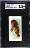 1889 N8 Allen & Ginter Toadfish 50 Fish From American Waters SGC 1.5 front of card