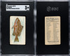 1889 N8 Allen & Ginter Grouper 50 Fish From American Waters SGC 3 front and back of card