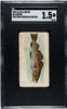 1889 N8 Allen & Ginter Codfish 50 Fish From American Waters SGC 1.5 front of card