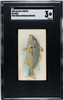 1889 N8 Allen & Ginter Chub 50 Fish From American Waters SGC 3 front of card