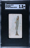 1889 N8 Allen & Ginter Whitebait 50 Fish From American Waters SGC 1.5 front of card