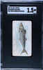 1889 N8 Allen & Ginter Spanish Mackerel 50 Fish From American Waters SGC 1.5 front of card