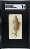 1889 N8 Allen & Ginter Rock Blackfish 50 Fish From American Waters SGC 1 front of card