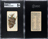 1889 N8 Allen & Ginter Moonfish 50 Fish From American Waters SGC 3 front and back of card