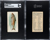 1889 N8 Allen & Ginter Herring 50 Fish From American Waters SGC 5 front back of card