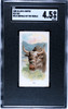 1888 N25 Allen & Ginter Yak Wild Animals of the World SGC 4.5 front of card