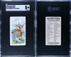 1888 N25 Allen & Ginter Virginian Deer Wild Animals of the World SGC 5 front and back of card