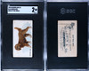 1890 N163 Goodwin & Co. Old Judge Water Dog Dogs of the World SGC 2 front and back of card