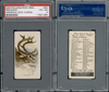 1910 E29 Philadelphia Caramel Reindeer Zoo Cards PSA 4 front and back of card
