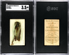 1910 T58 Fish Series Skate American Tobacco Co. SGC 3.5 front and back of card