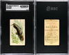 1910 T58 Fish Series Catfish American Tobacco Co. SGC A front and back of card