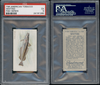 1910 T58 Fish Series Whiting Piedmont PSA 5 front and back of card